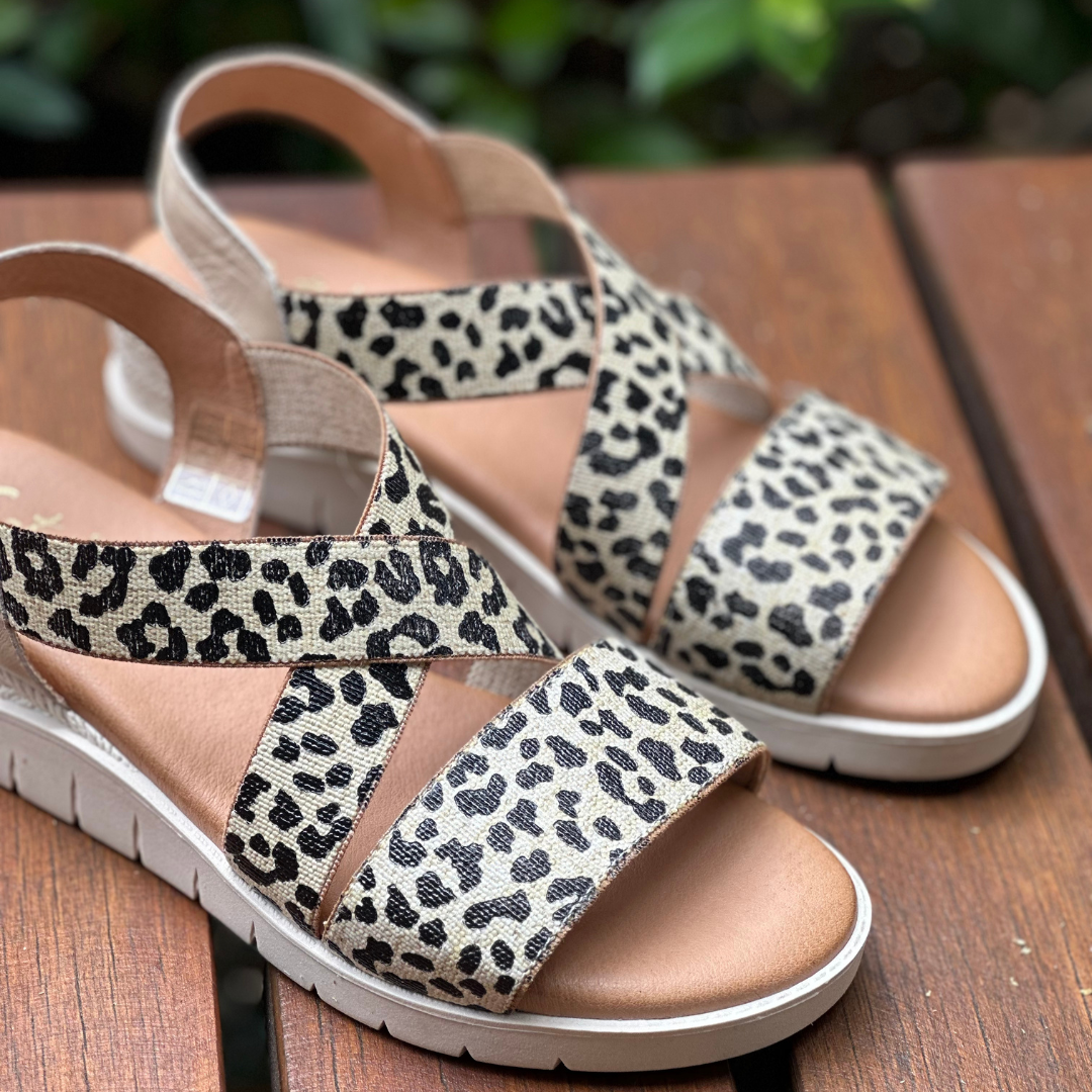 Catalinas Shannons Shoes