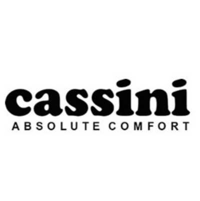 Cassini Logo 