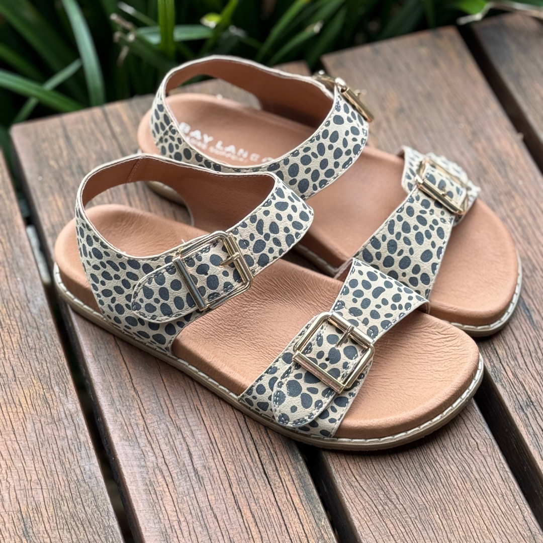 Bay Lane Zeus - Cheetah