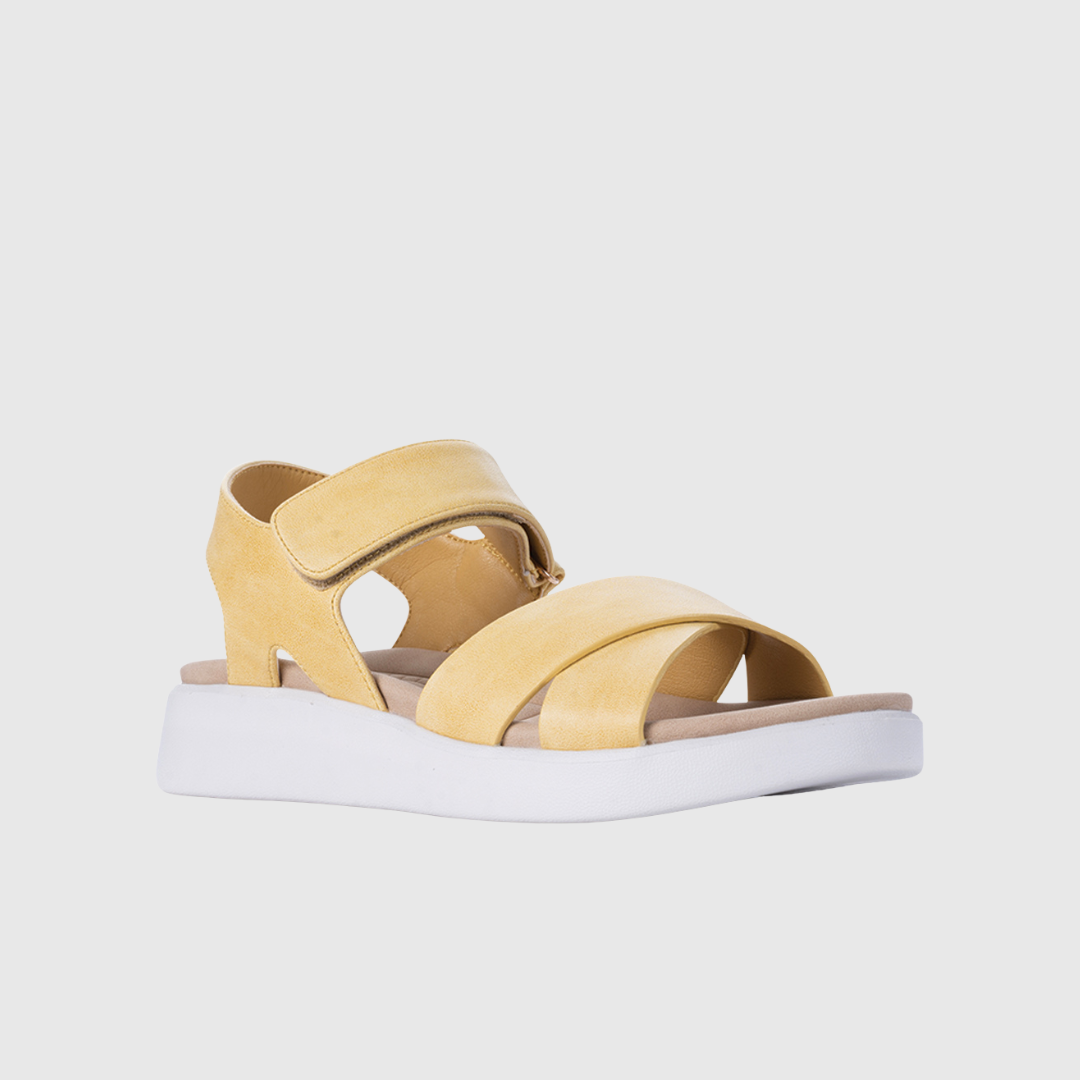 Los Cabos Brasilia - Sunset