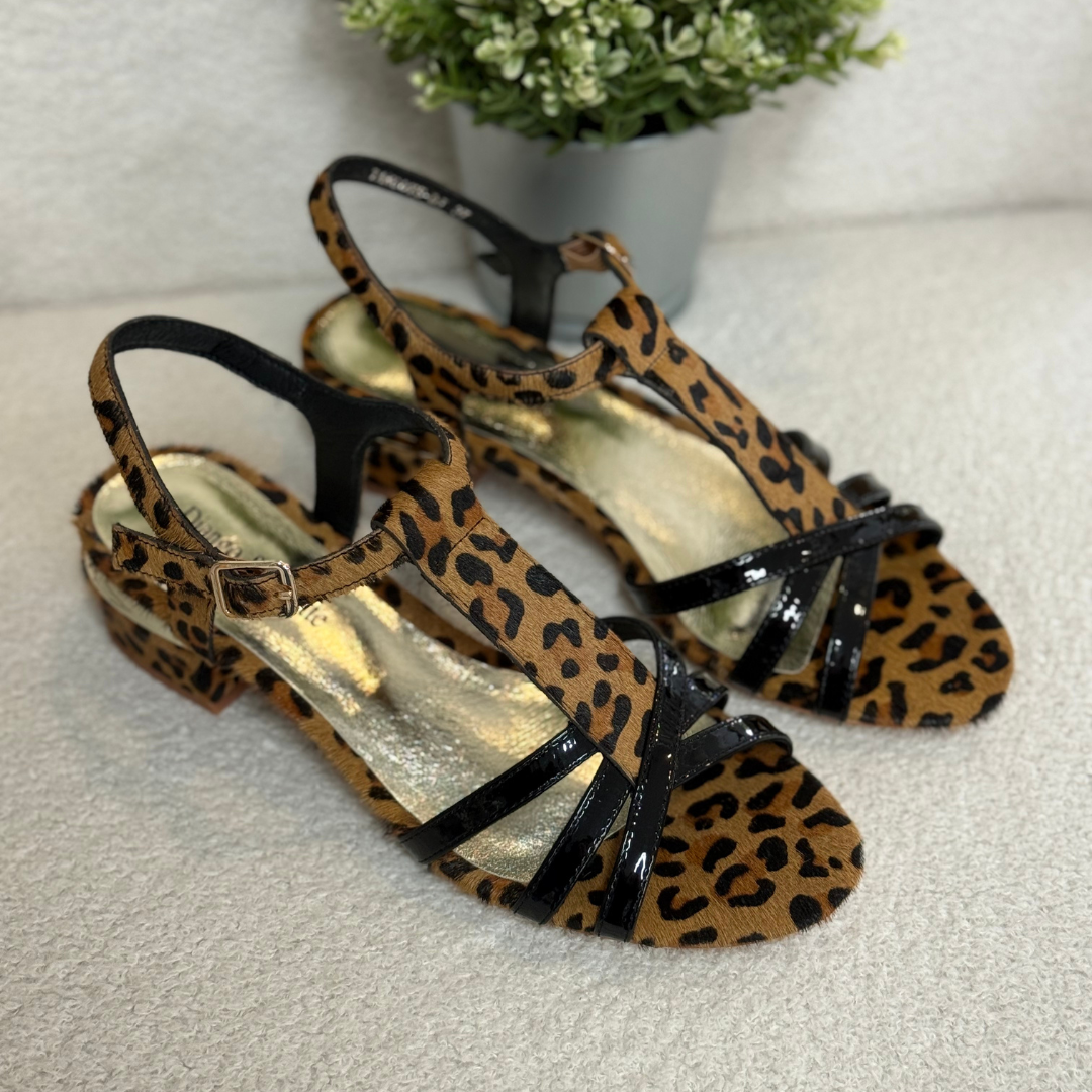 Django & Juliette Tangots - Black/Tan Leopard