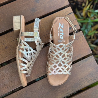 Zeta Hilite - Champagne