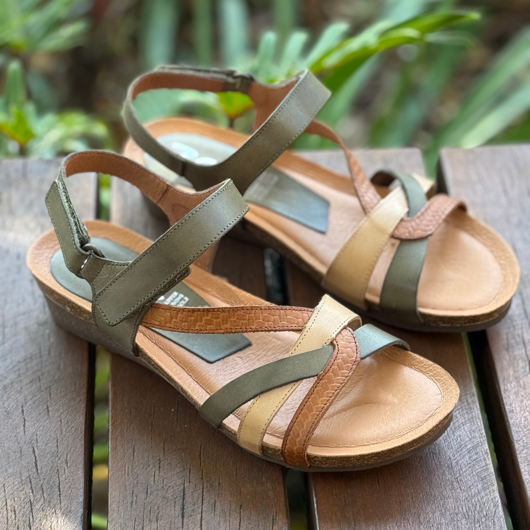 Zeta Ocean - Khaki/Tan Multi