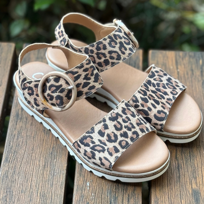 Catalinas Saban - Leopard