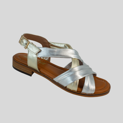 Zeta Dally - Metallic Multi