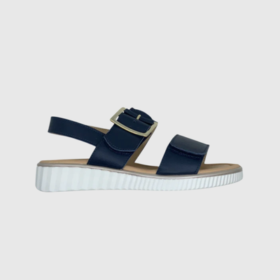 Sundowner Catia - Navy