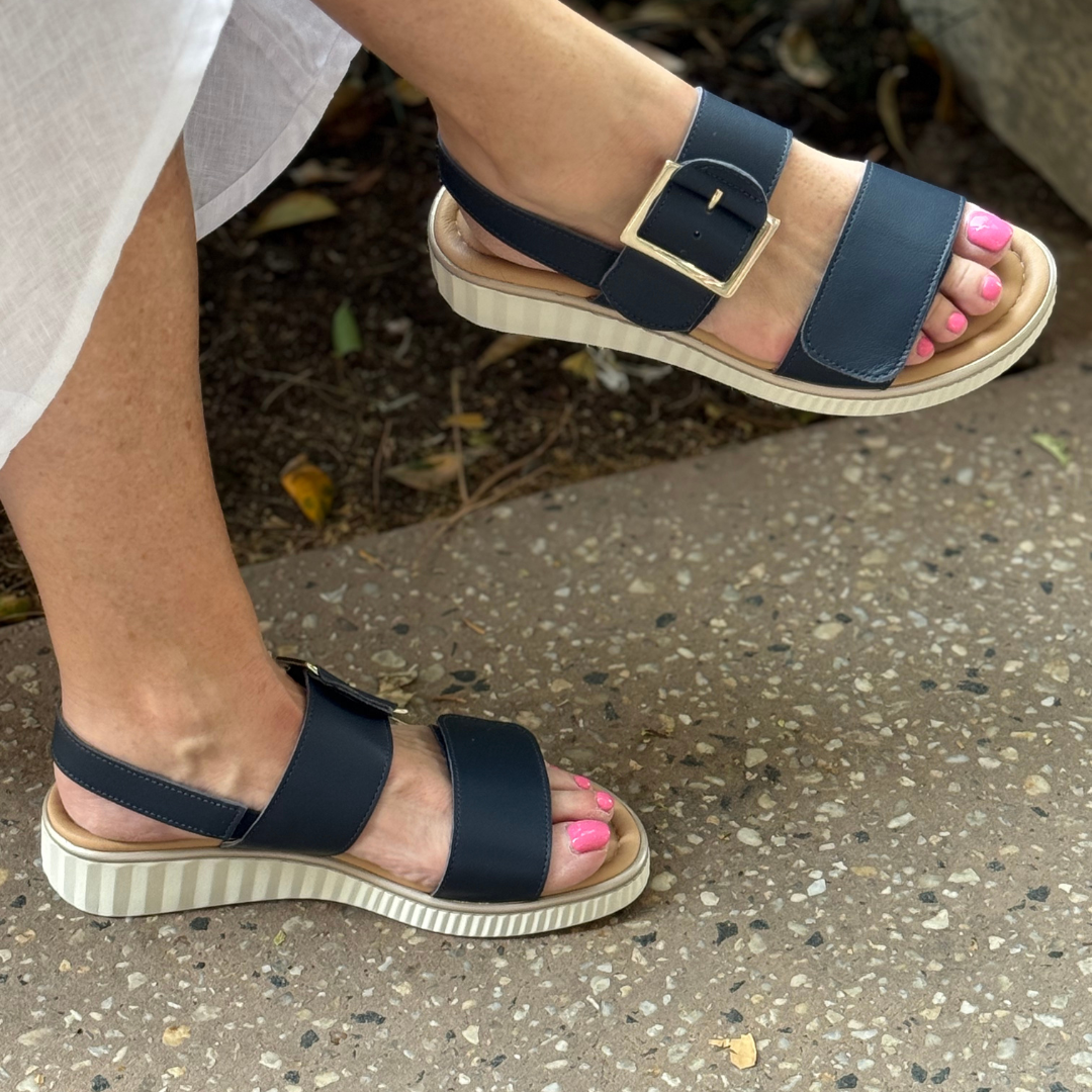 Sundowner Catia - Navy
