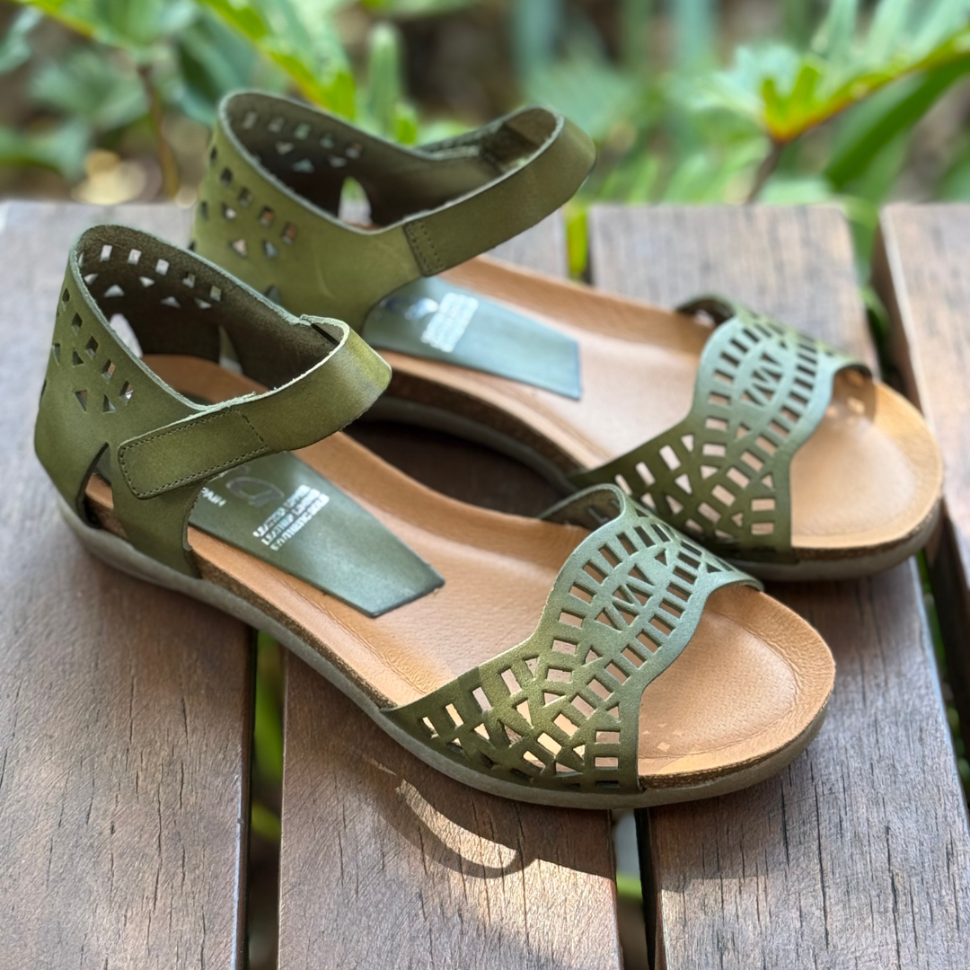 Zeta Ryon - Olive