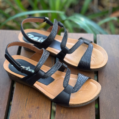 Zeta Osina - Black Embossed