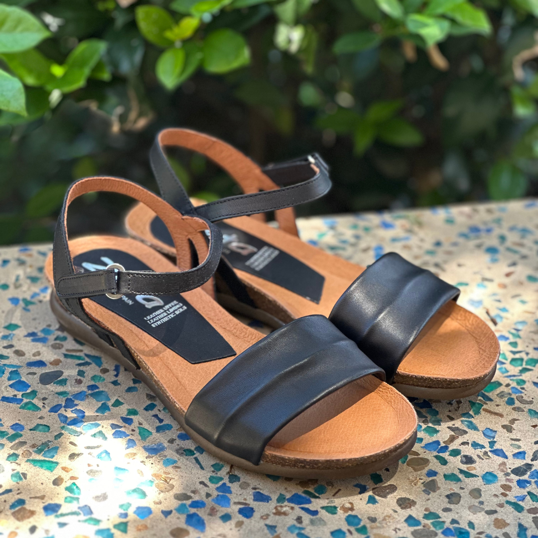 Black Collection – Shannons Shoes