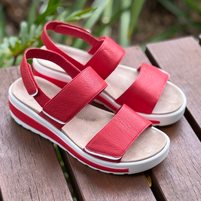 Ziera Garlin W - Red White