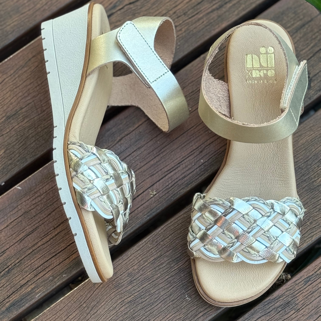 Neo Felisa MC-499 - Multi Metallic