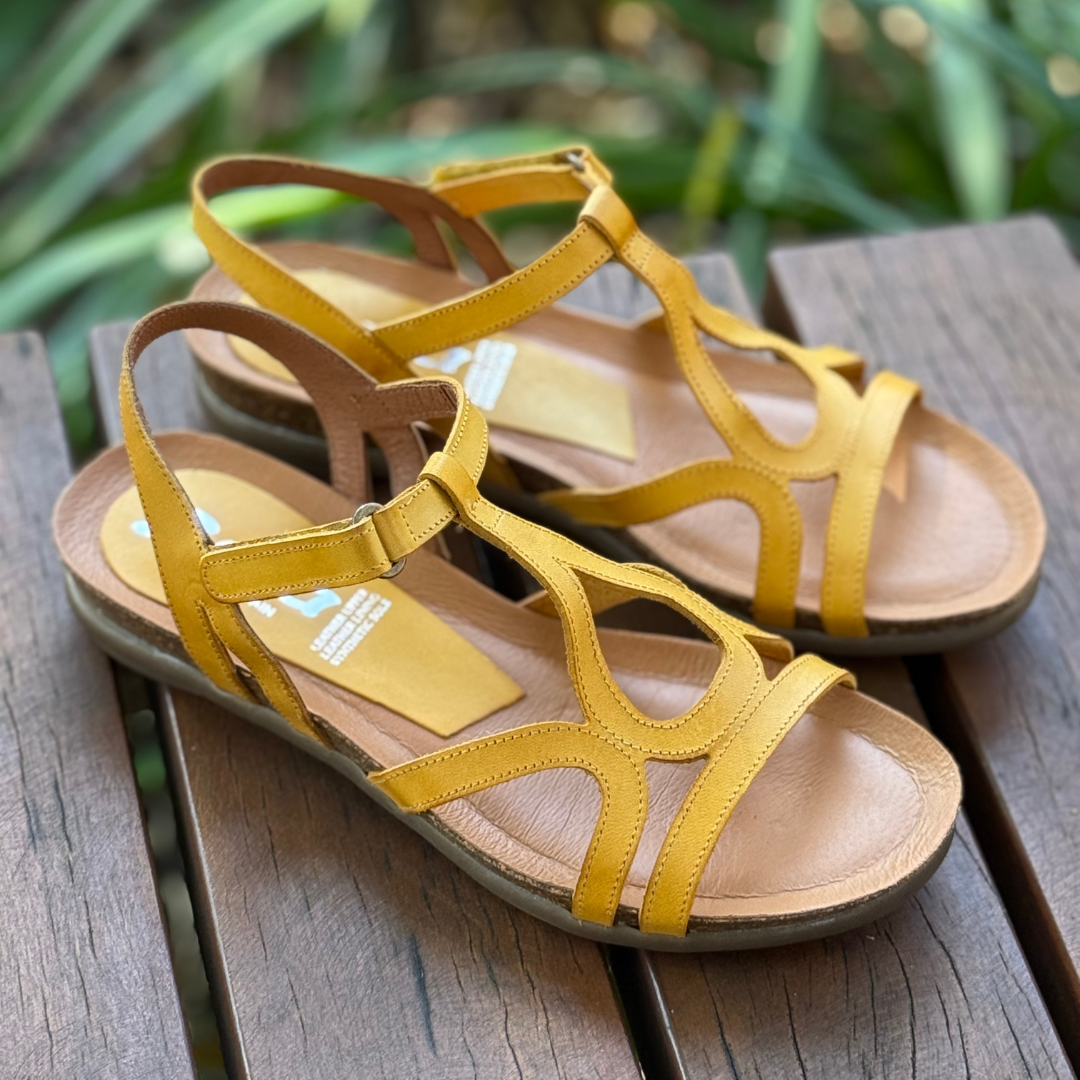 Zeta Rapt - Yellow