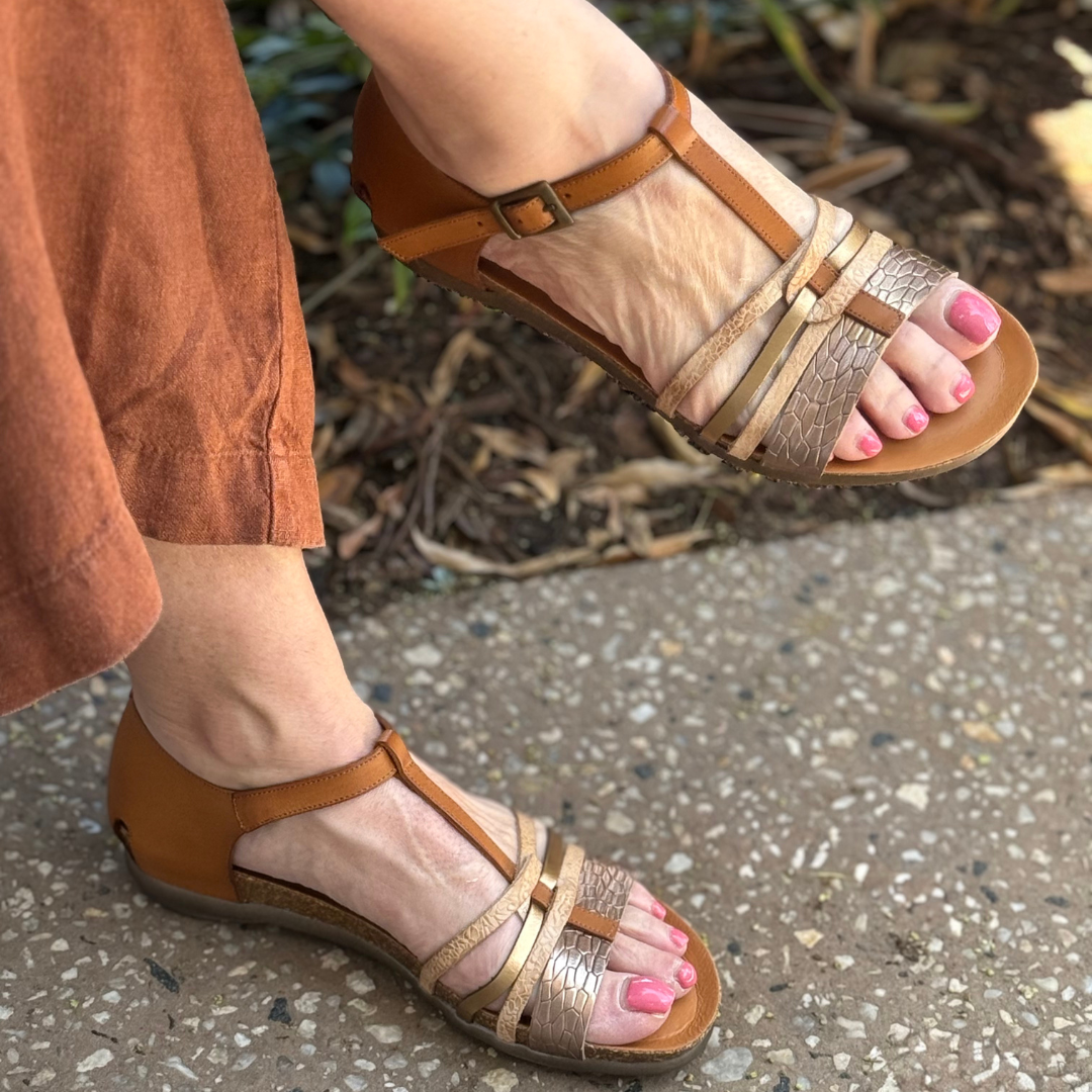 Zeta Rapport - Tan Multi