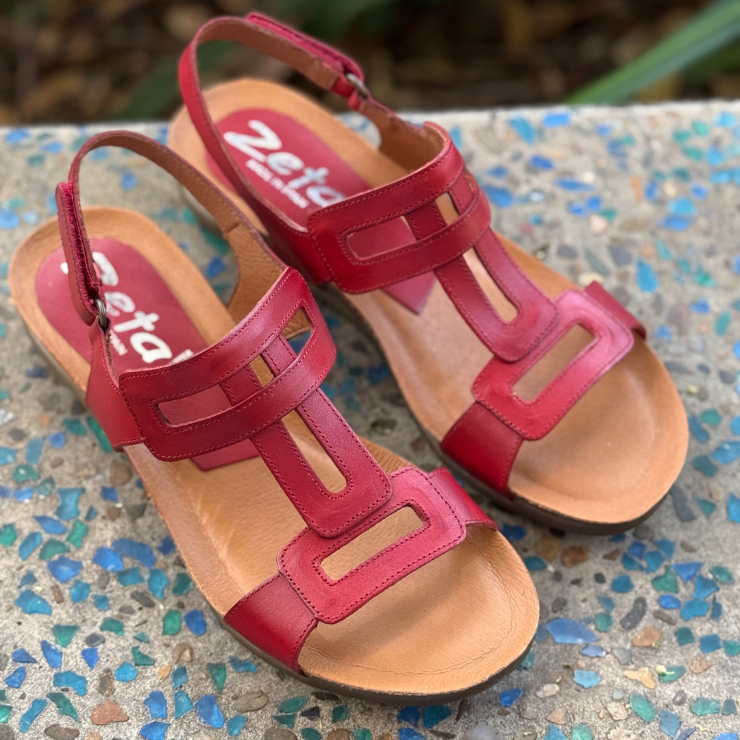 Zeta Regent - Red
