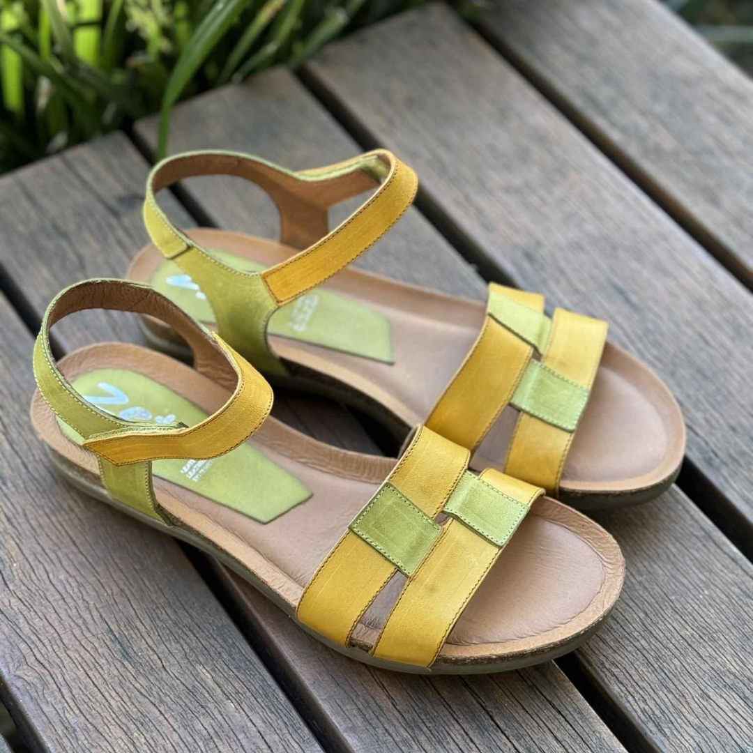 Zeta Rollo - Mustard Pistachio Green