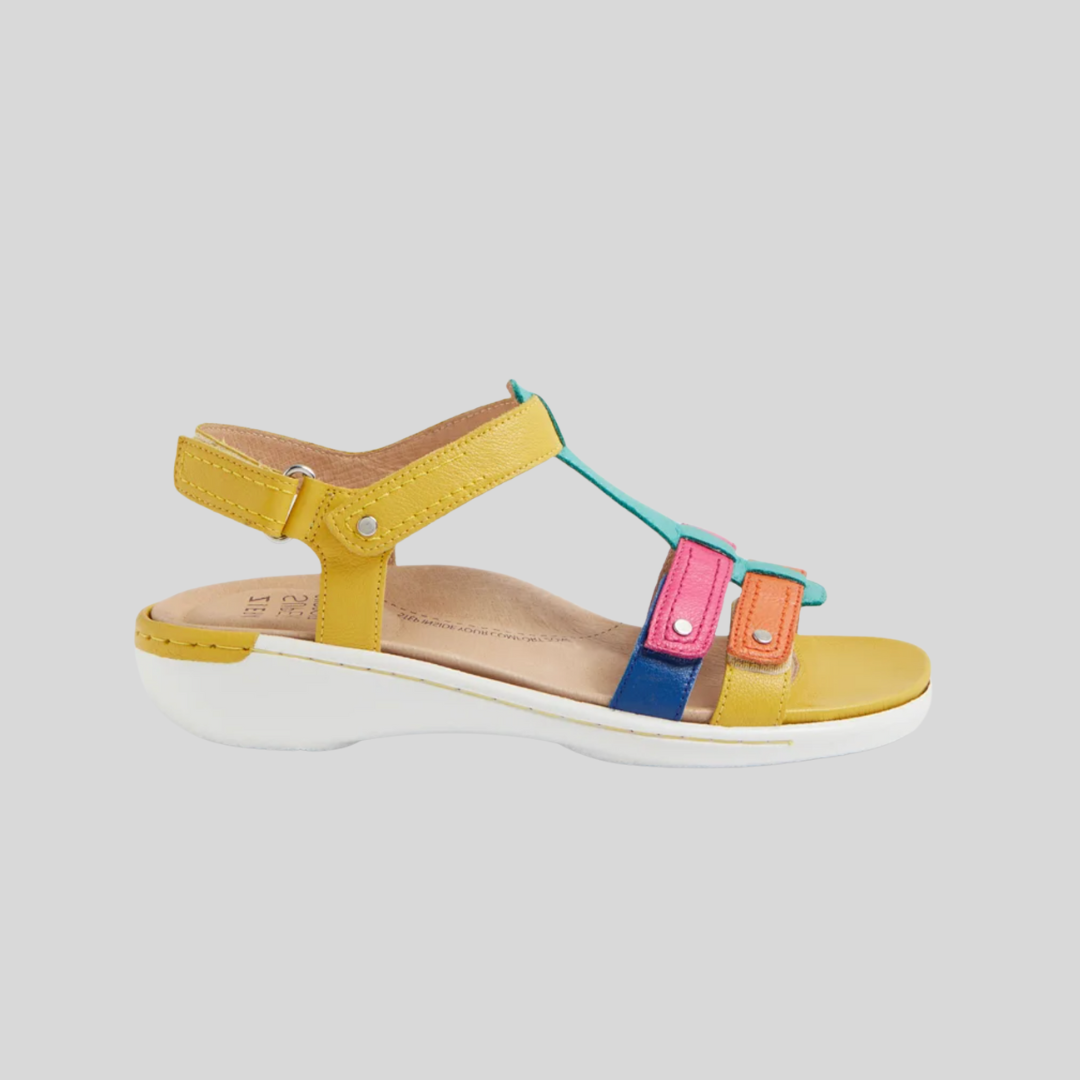 Ziera Baila W - Bright Multi