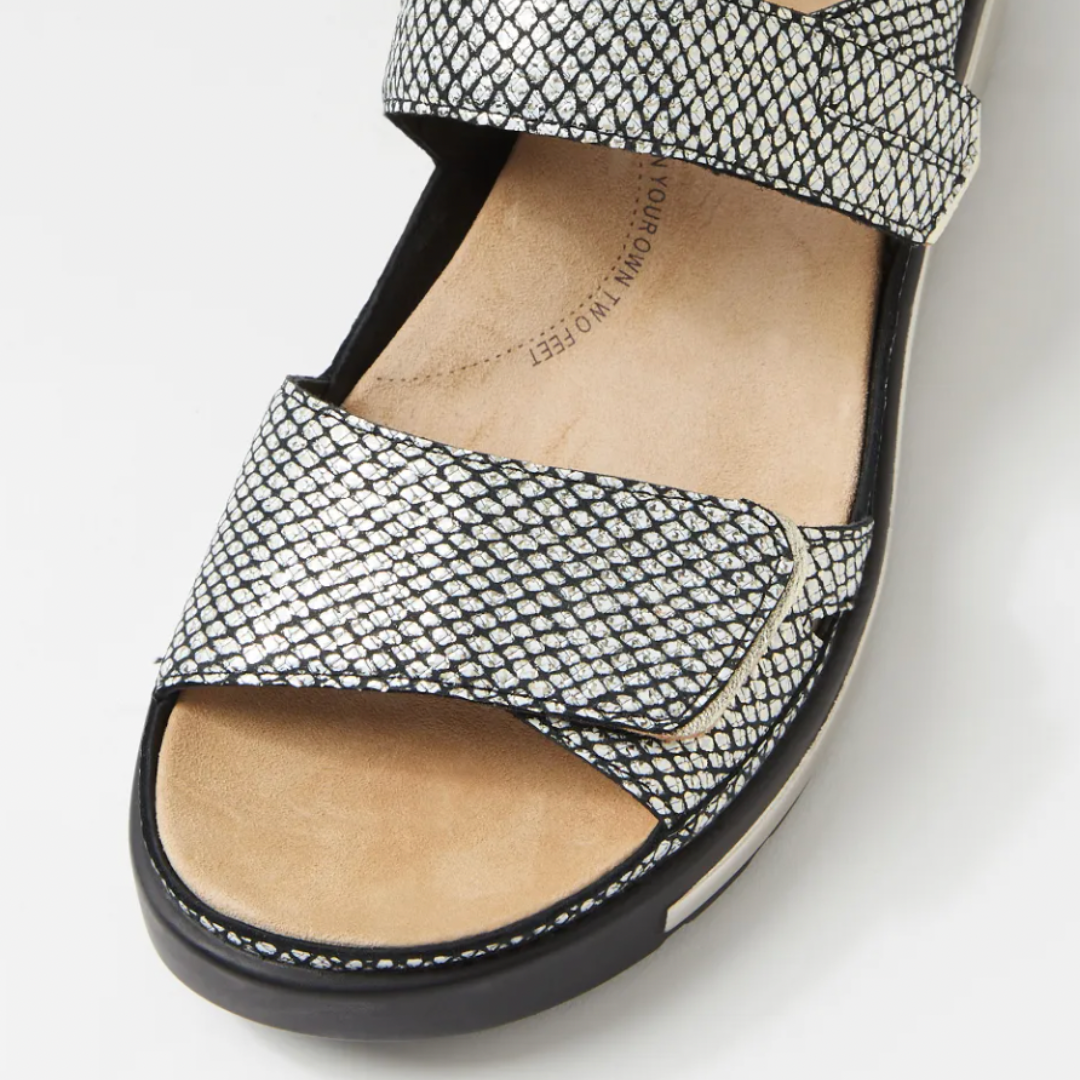 Ziera Gedd W - Black Gold