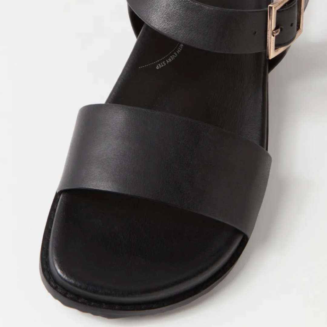 Ziera Hammil W - Black