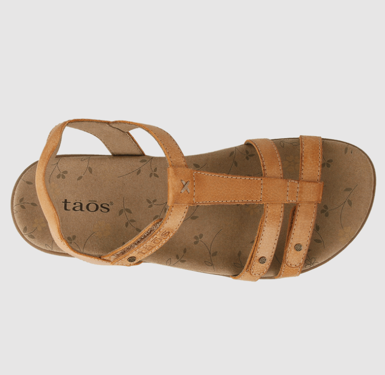 Taso shoes  trophy leather sandals